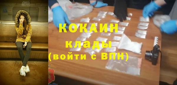 ешки Алексин
