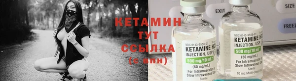 ешки Алексин