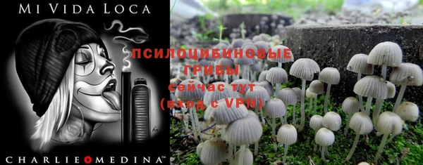 прущая мука Алексеевка