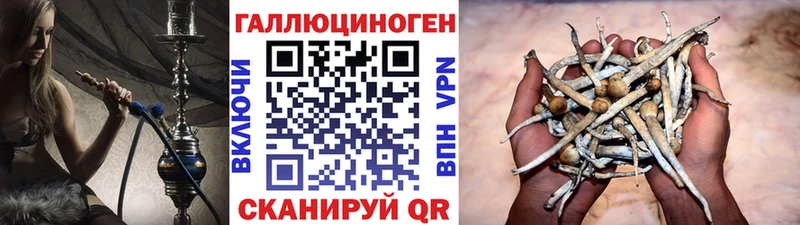 Псилоцибиновые грибы Psilocybe  даркнет сайт  Анжеро-Судженск 