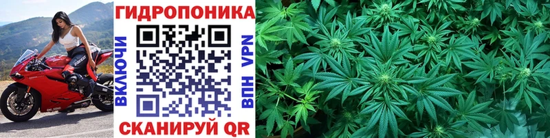 что такое   blacksprut как зайти  Шишки марихуана индика  Анжеро-Судженск 